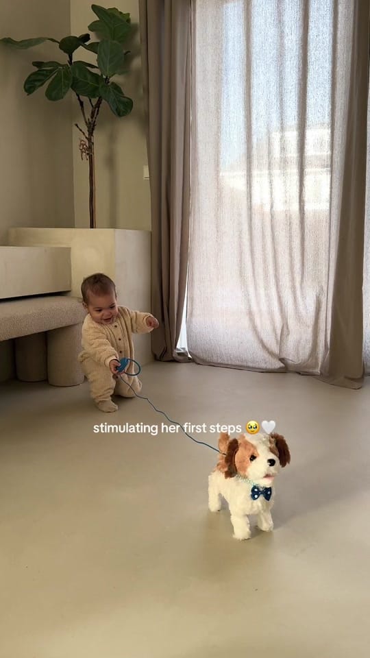 Post 10 by Manon Tilstra on TikTok (video)