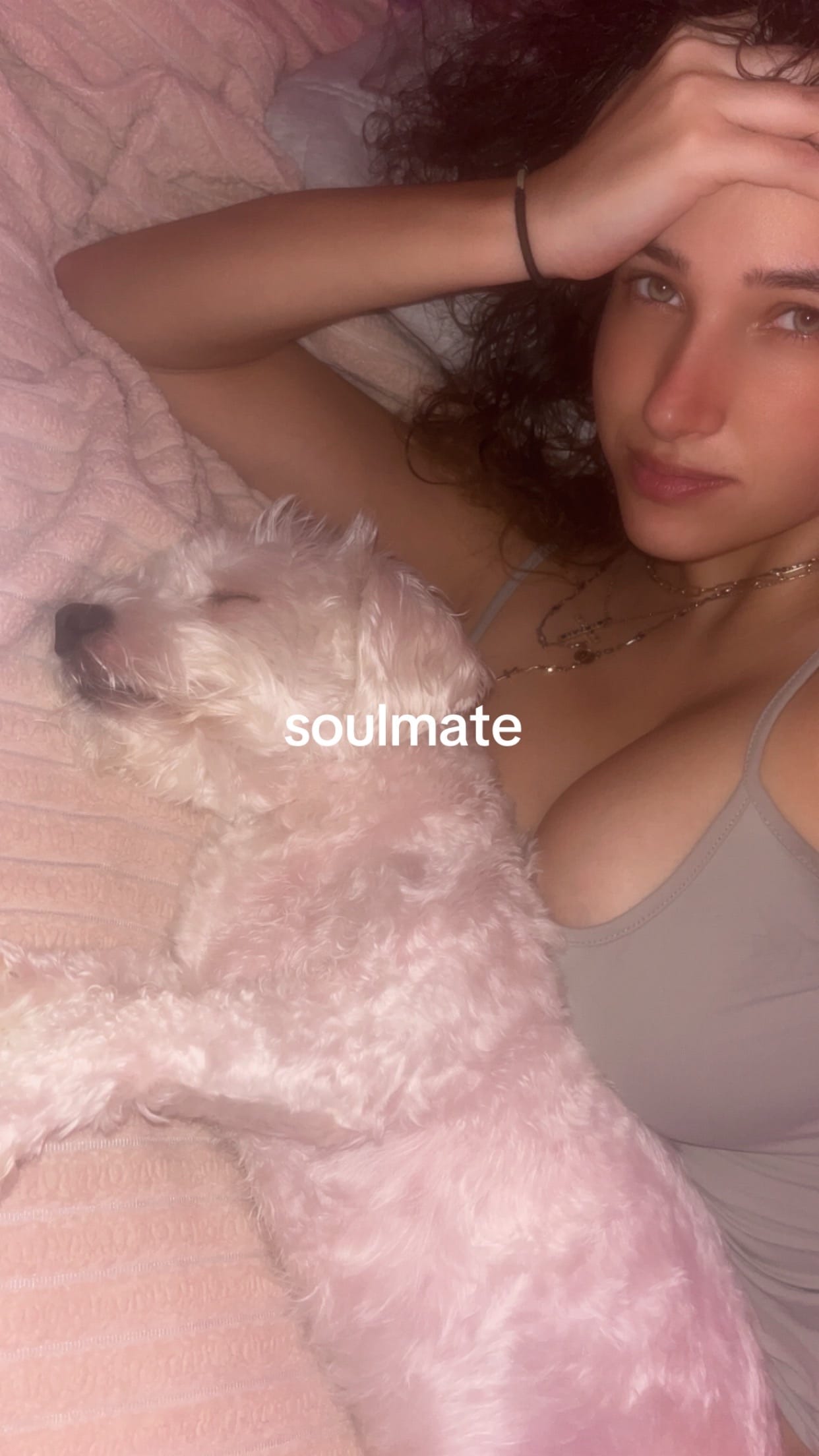 Post 5 by Lauren Cruz on TikTok (video)