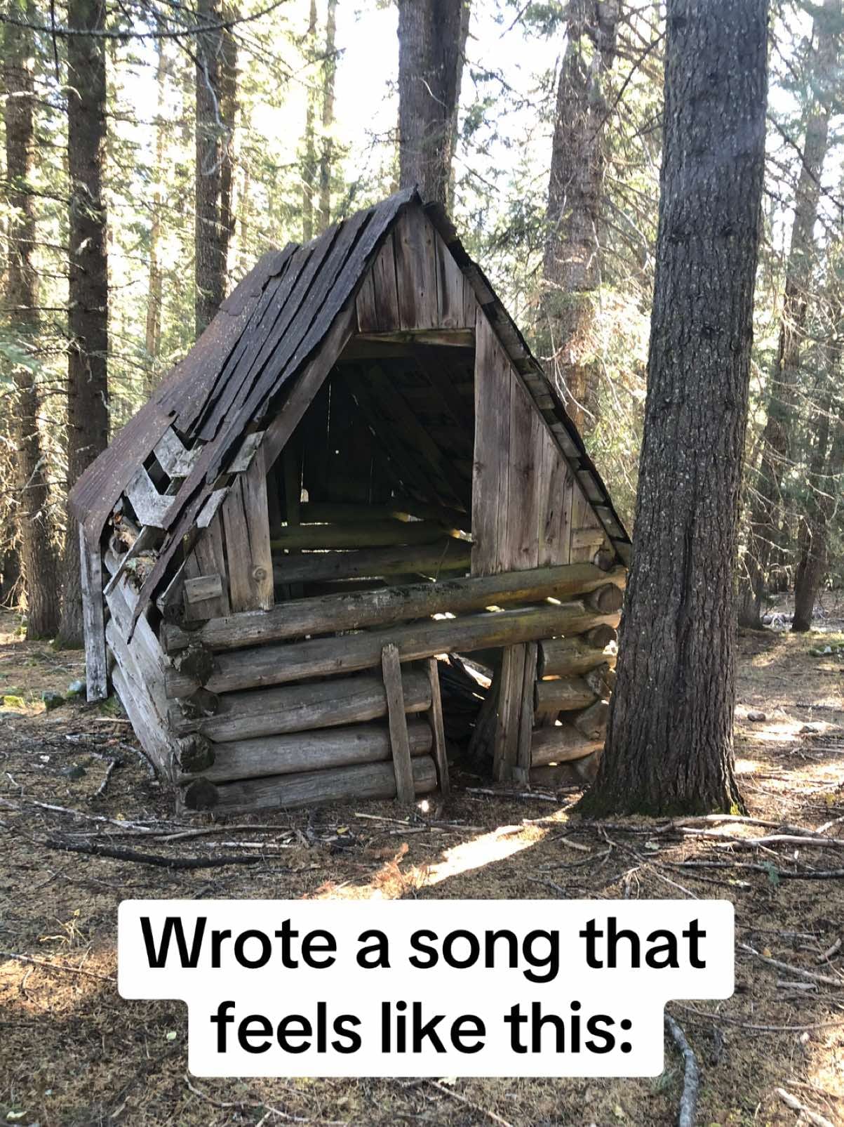 Post 7 by Jonah Krull Music on TikTok (video)