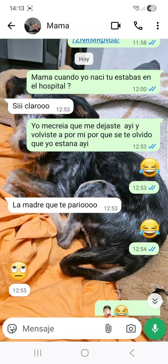 Post 4 by elchistorrofrankl on TikTok (video)