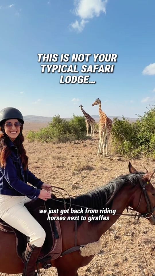 Post 1 by adventuringeyes on TikTok (video)