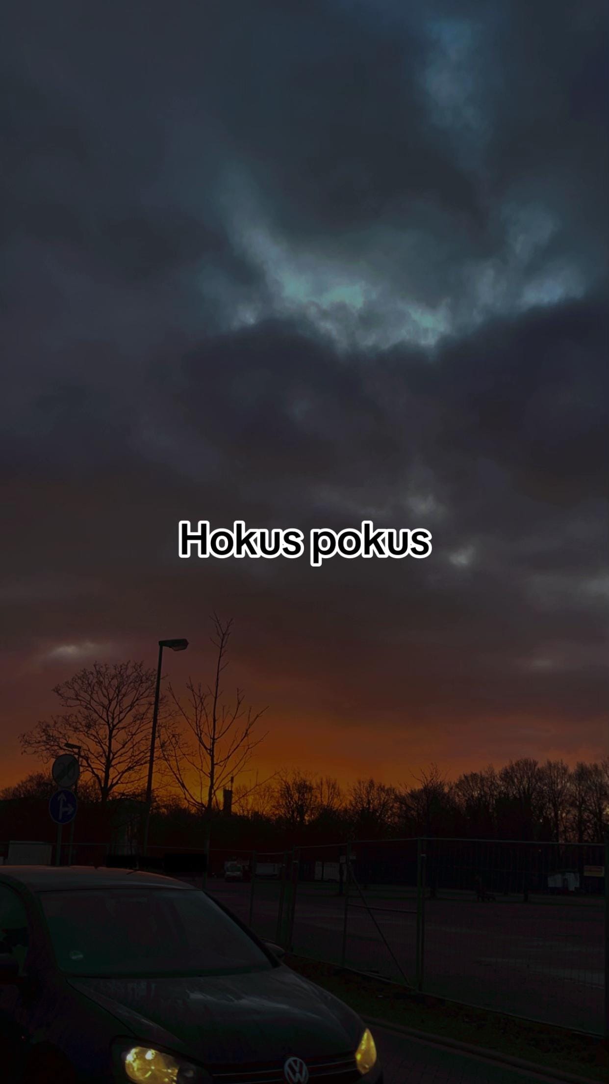 Post 4 by Delphinchen on TikTok (video)