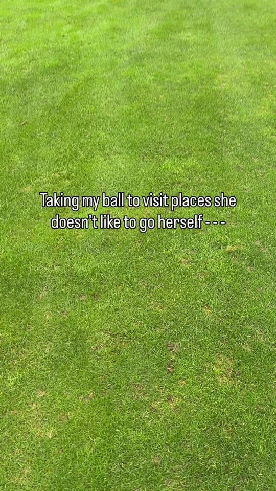 Post 7 by Toree McGee on TikTok (video)