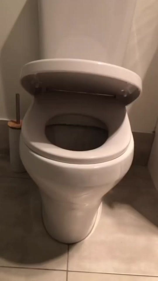 Post 3 by Ray rod on TikTok (video)