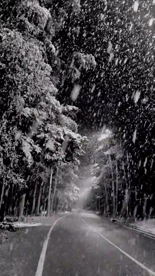 Post 7 by Ray rod on TikTok (video)