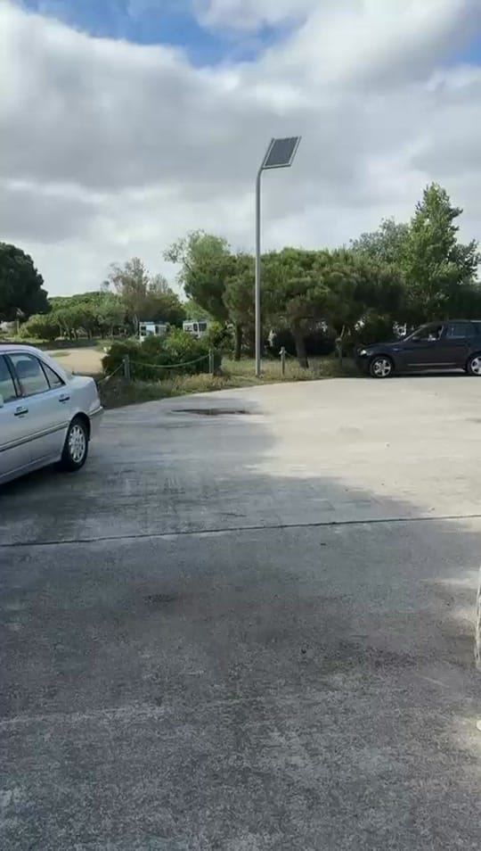 Post 8 by paloma wool on TikTok (video)