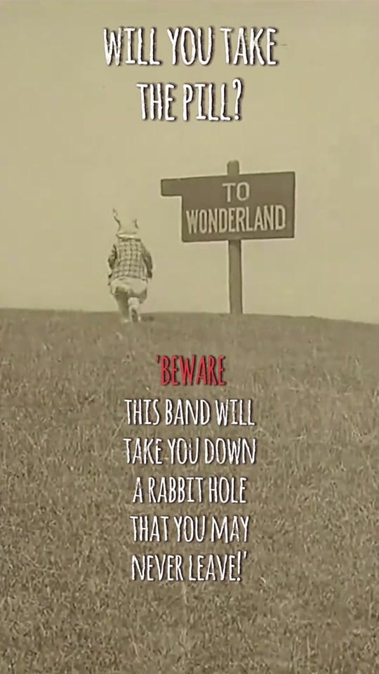 Post 9 by I am the Unicorn Head on TikTok (video)