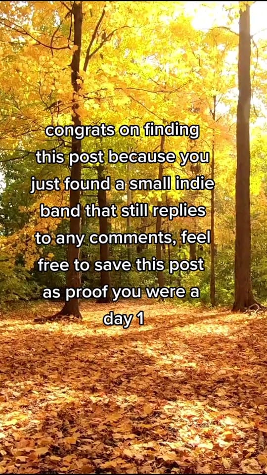 Post 10 by I am the Unicorn Head on TikTok (video)