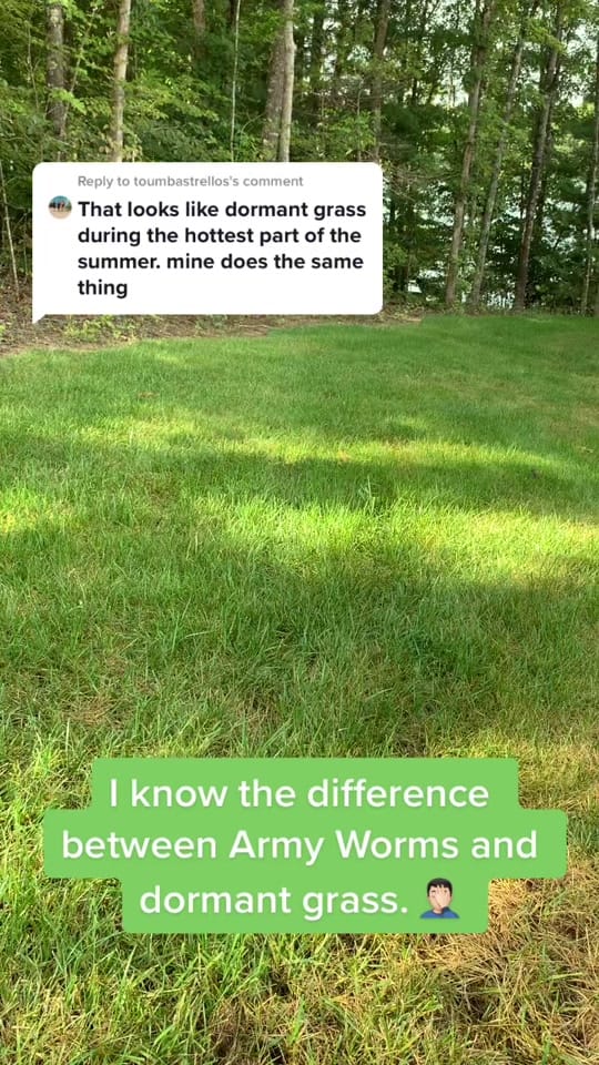 Post 1 by Jesse Lowe | TN Realtor | Dad on TikTok (video)