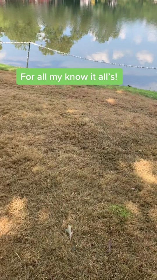 Post 3 by Jesse Lowe | TN Realtor | Dad on TikTok (video)