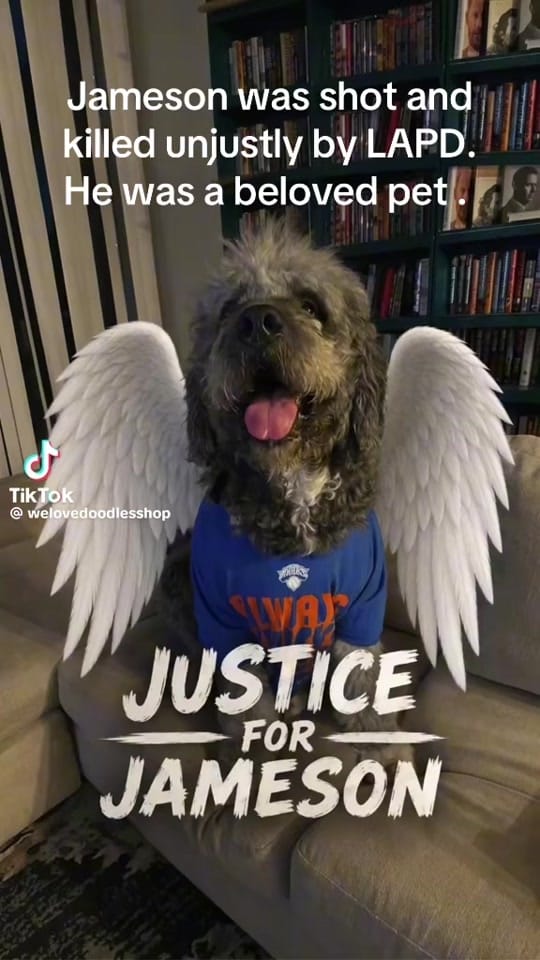 Post 1 by DJ Valentino Rose on TikTok (video)