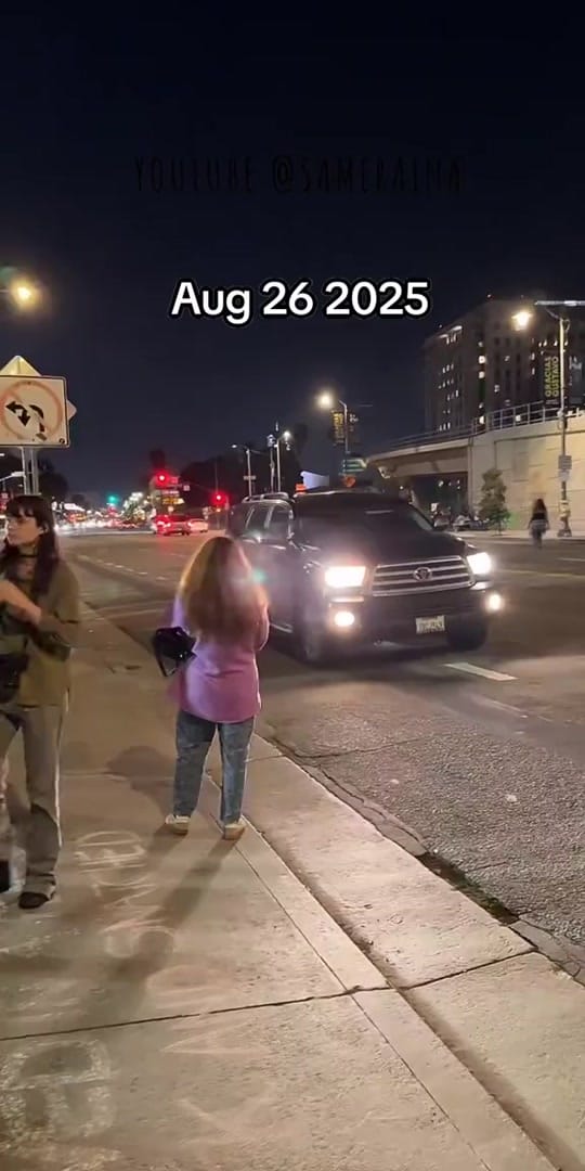 Post 7 by Mossygoodness on TikTok (video)