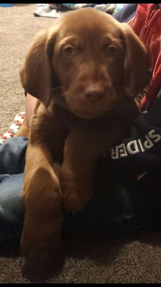 Post 1 by Mark Thomas on TikTok (video)