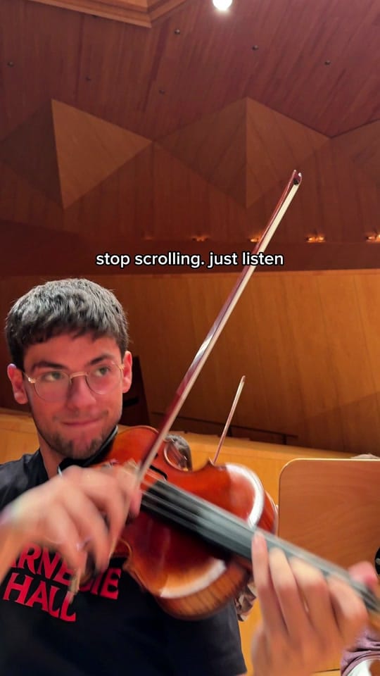 Post 6 by davidruizviolin on TikTok (video)