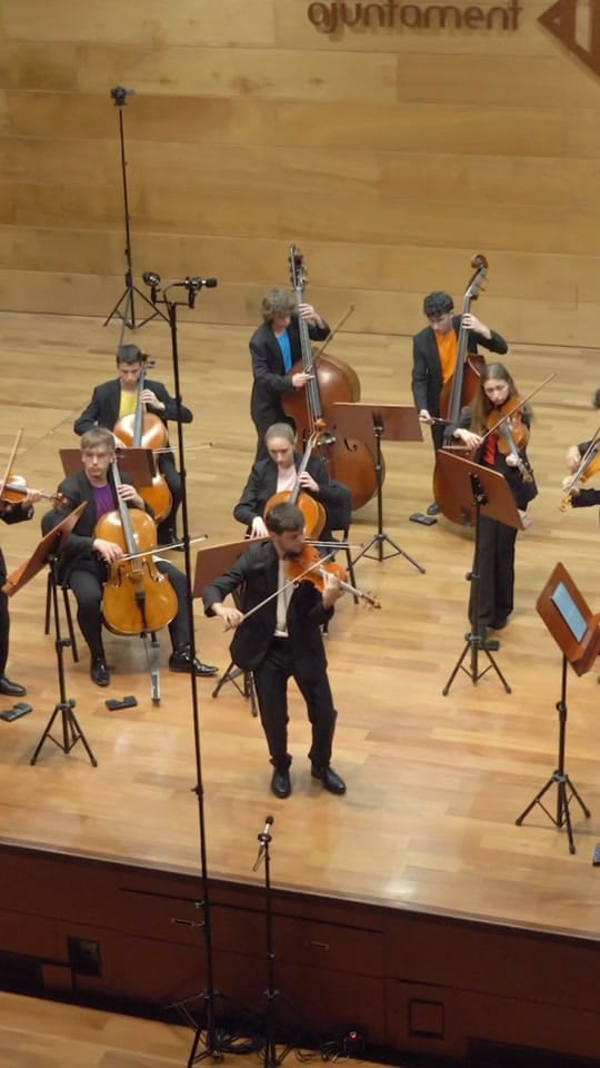 Post 1 by davidruizviolin on TikTok (video)