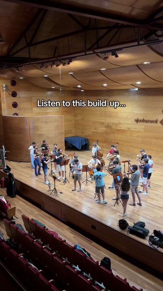 Post 4 by davidruizviolin on TikTok (video)