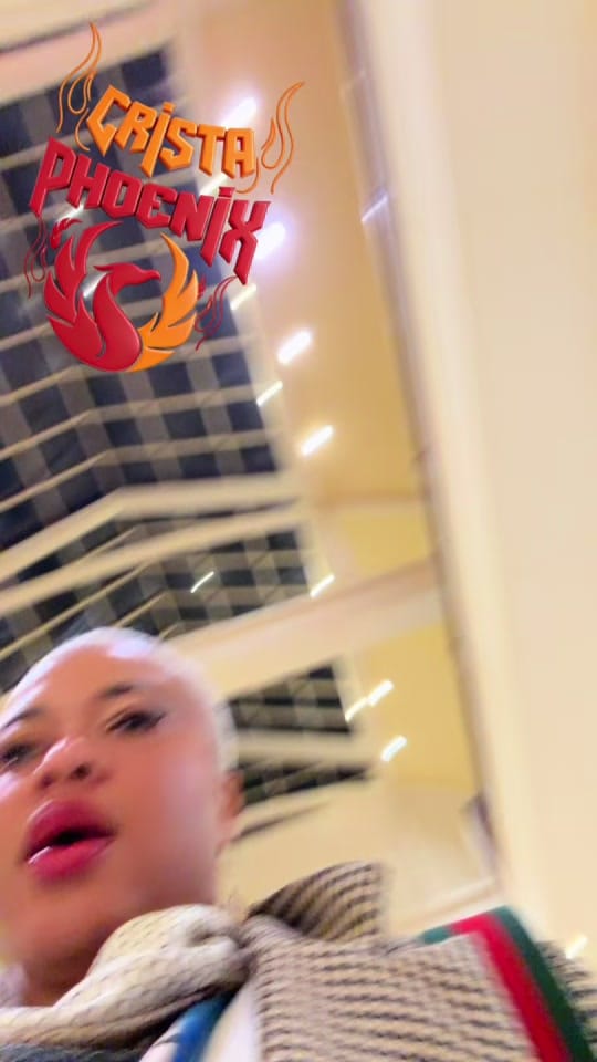 Post 8 by Crista Phoenix 🐦‍🔥 on TikTok (video)
