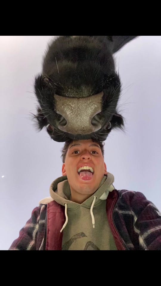 Post 3 by Facu Aguilera on TikTok (video)