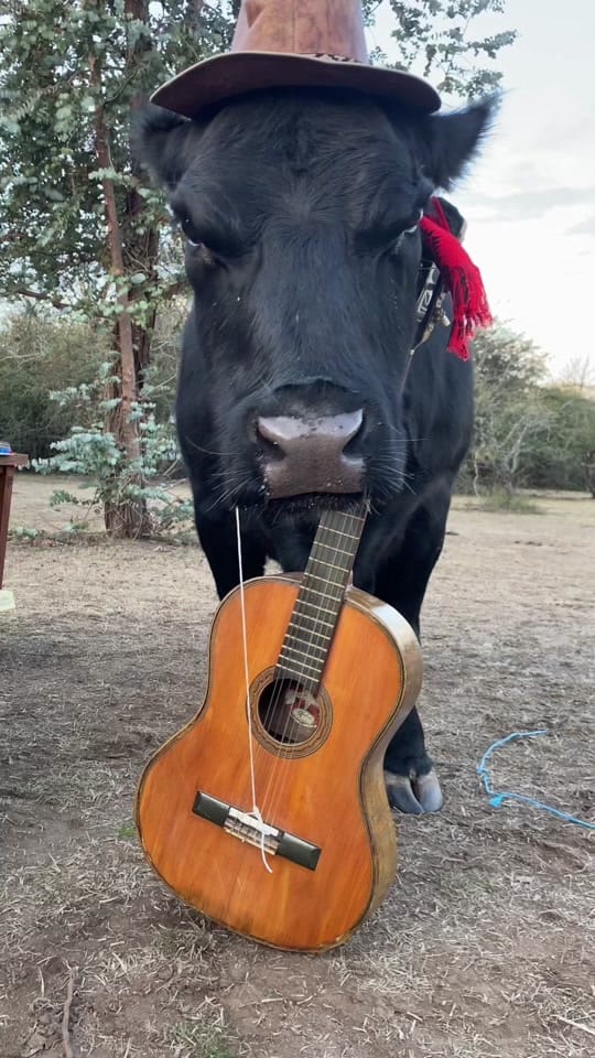 Post 1 by Facu Aguilera on TikTok (video)