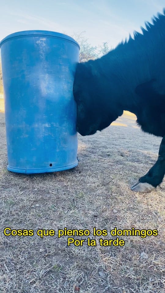 Post 2 by Facu Aguilera on TikTok (video)