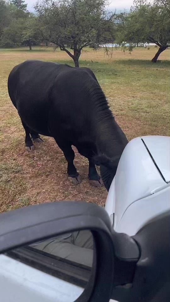 Post 9 by Facu Aguilera on TikTok (video)
