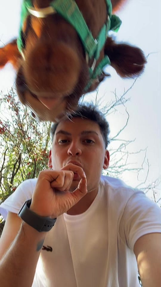 Post 7 by Facu Aguilera on TikTok (video)