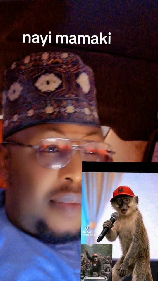 Post 8 by nuhu dan hausa on TikTok (video)