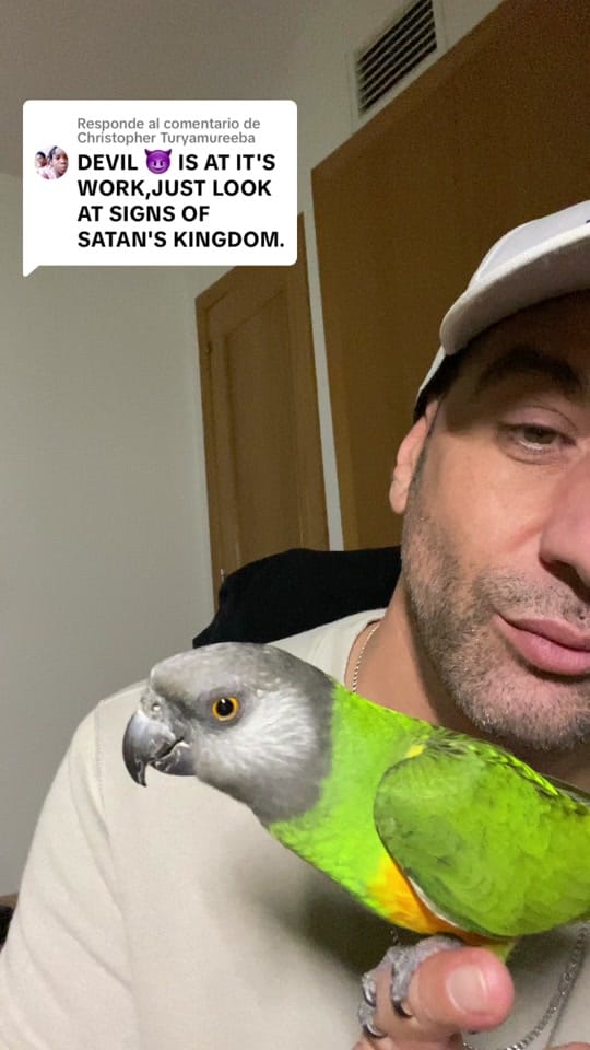 Post 9 by Gonzo on TikTok (video)