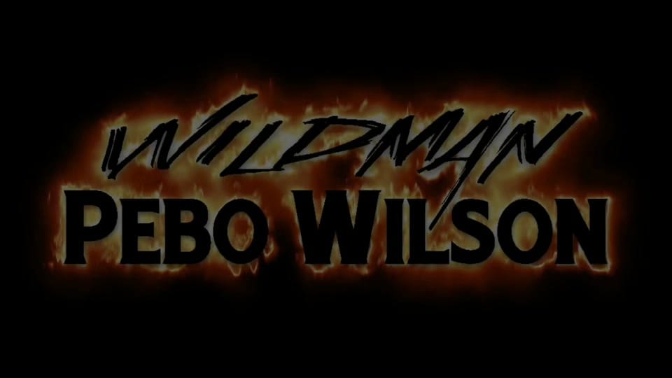 Post 10 by Pebo Wilson on TikTok (video)
