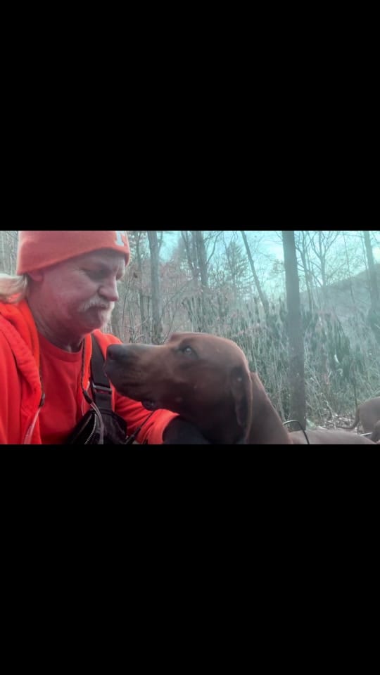 Post 7 by Pebo Wilson on TikTok (video)