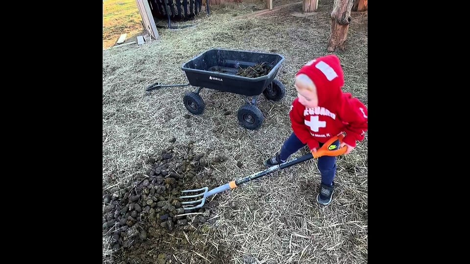 Post 2 by Pebo Wilson on TikTok (video)