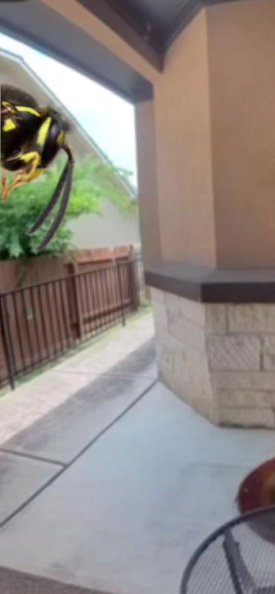 Post 7 by Exxistenxe on TikTok (video)