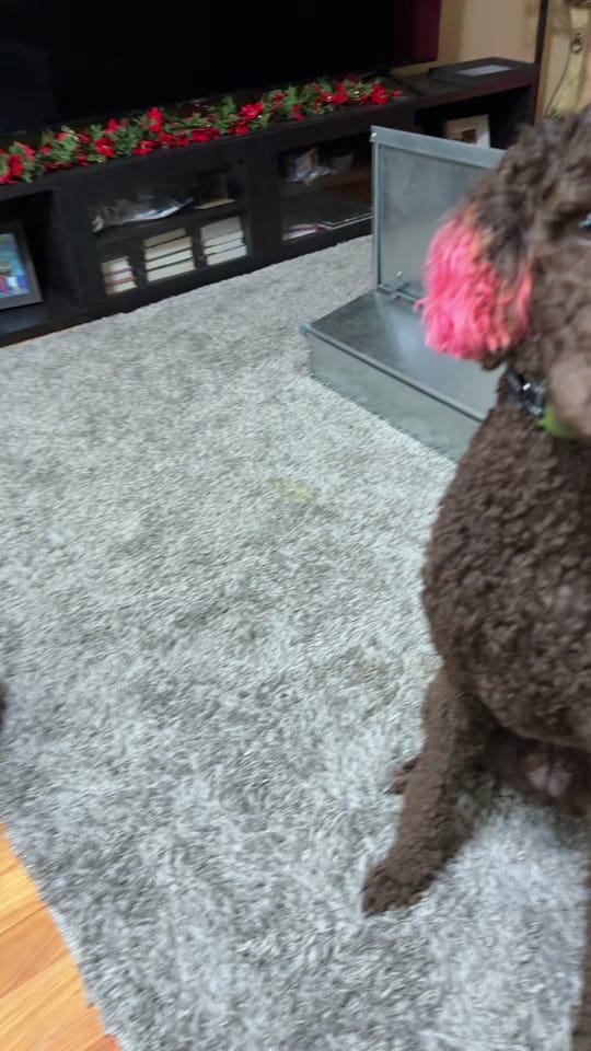 Post 7 by 🌺~JIEL~🇵🇭🇹🇼🇺🇸 on TikTok (video)