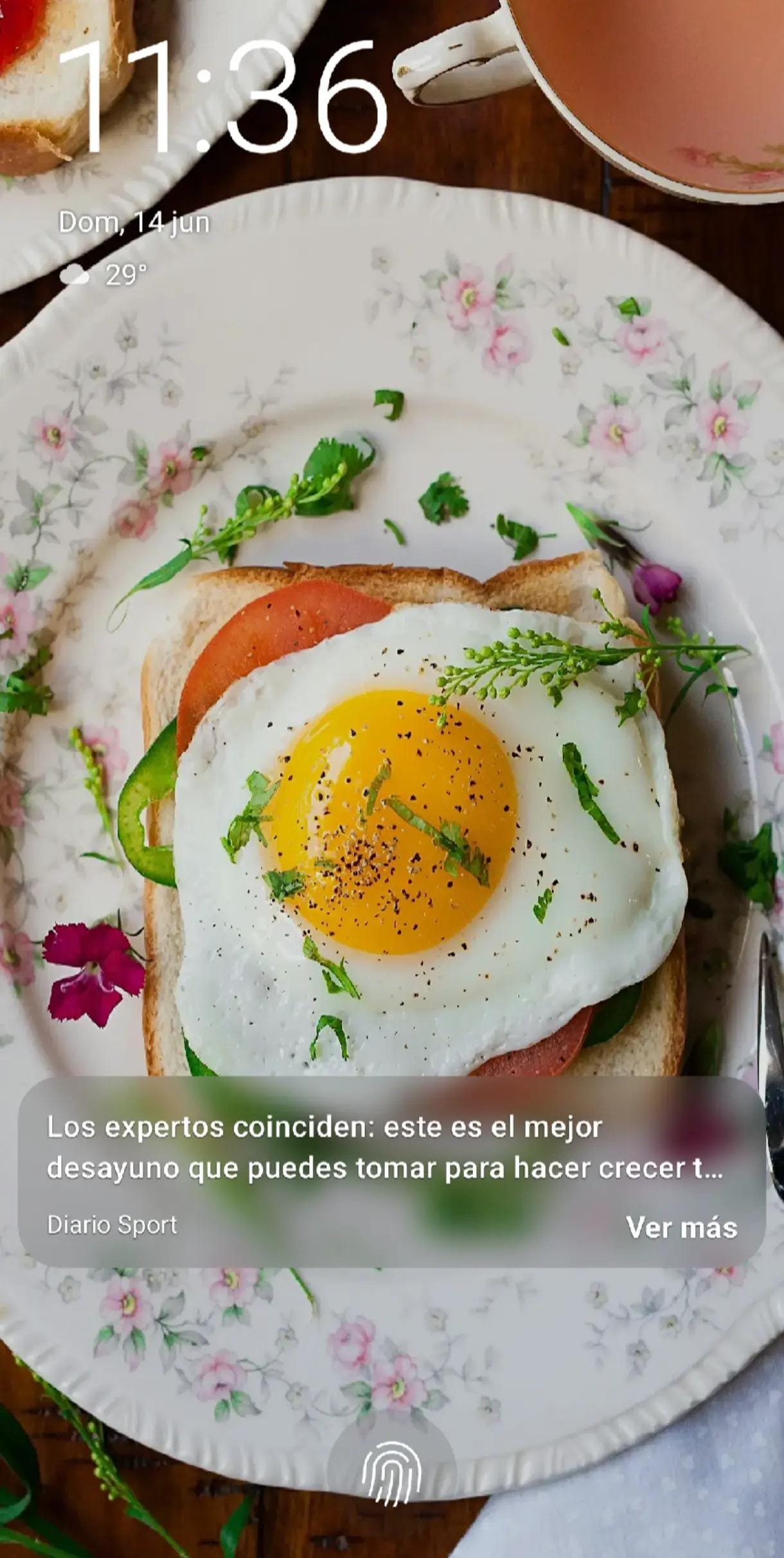Post 4 by pedro Contreras Arias on TikTok (video)