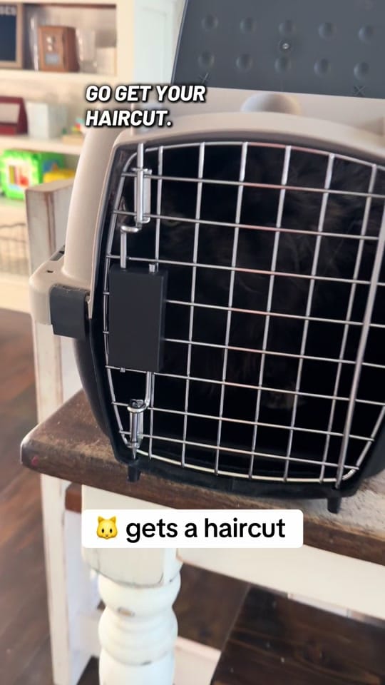 Post 3 by Good Buddy Rich on TikTok (video)