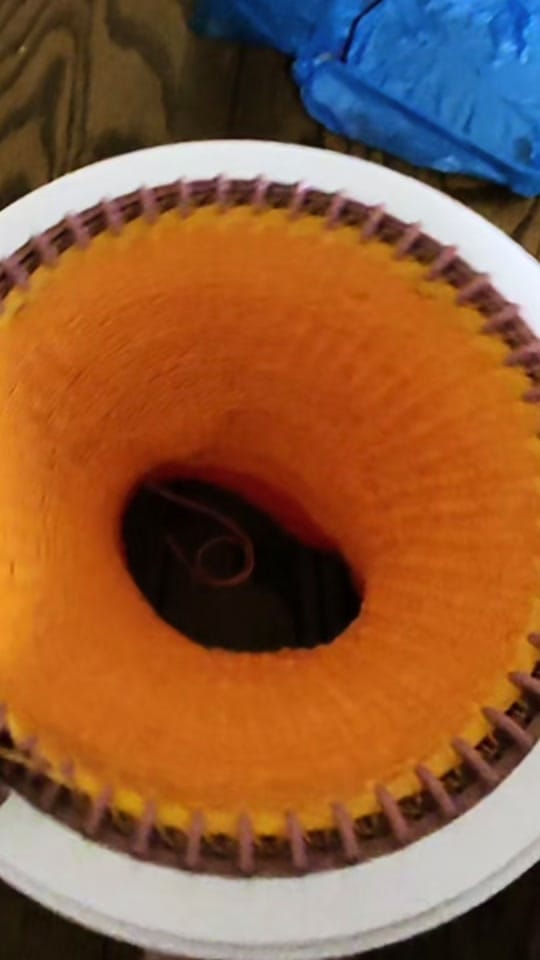 Post 5 by justthrivingandsurviving on TikTok (video)