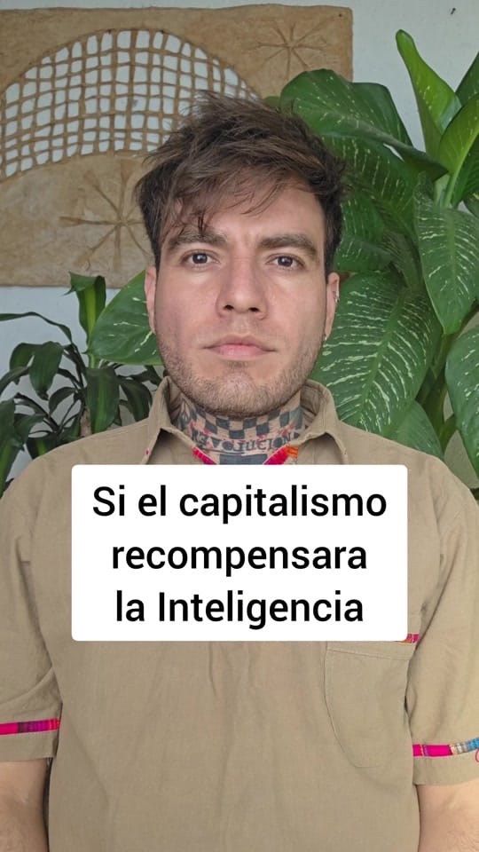 Post 4 by Tello Ponce de León on TikTok (video)