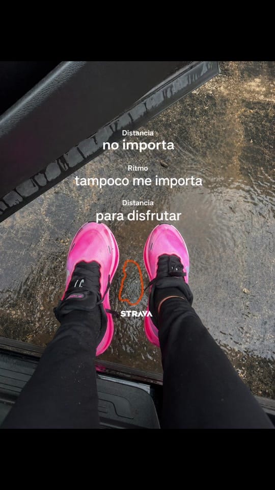 Post 6 by Liz Millan on TikTok (video)