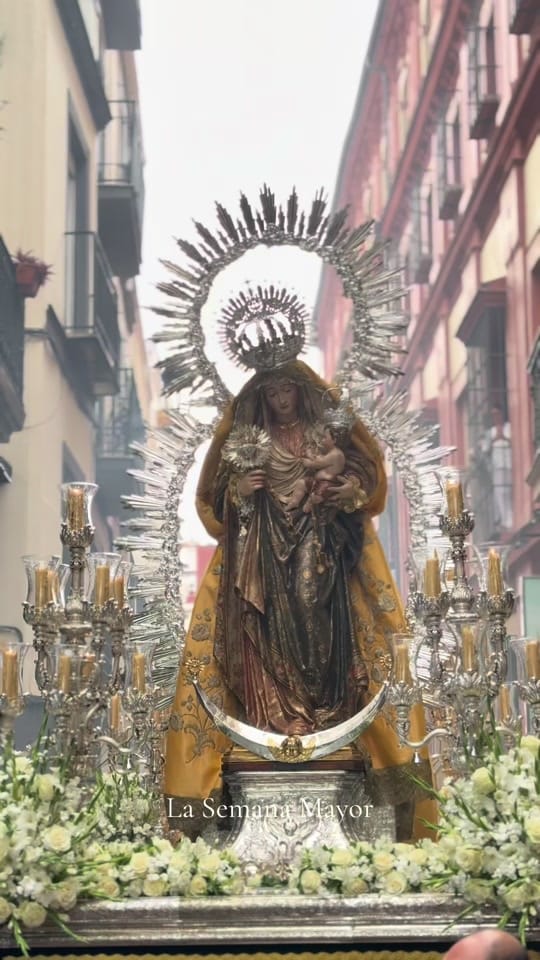 Post 6 by LA SEMANA MAYOR on TikTok (video)