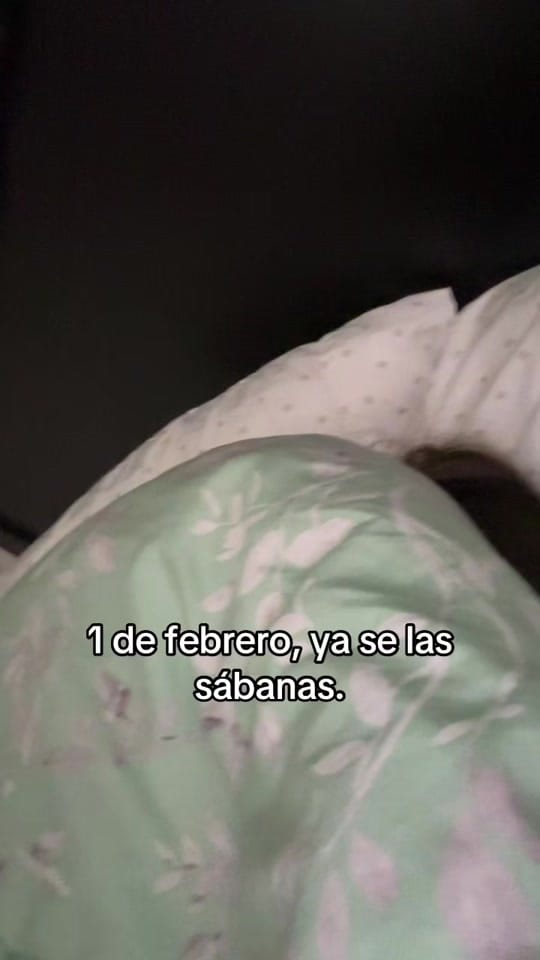 Post 2 by Sofía Santander on TikTok (video)