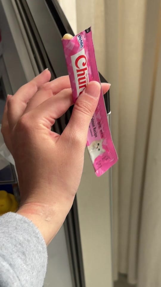 Post 4 by Sofía Santander on TikTok (video)