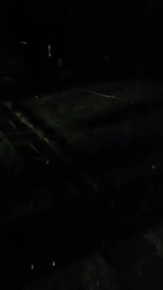 Post 7 by Elíseo Rodríguez🐎 on TikTok (video)