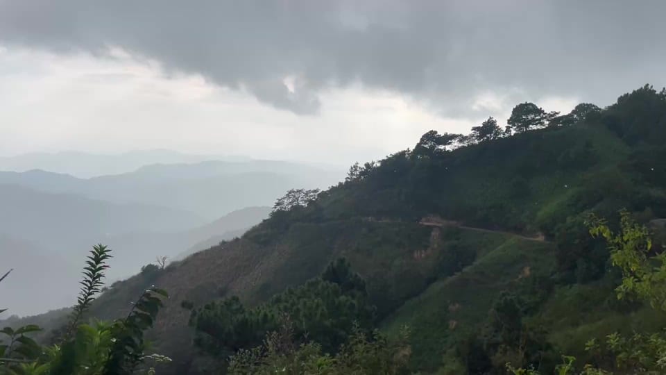 Post 6 by Elíseo Rodríguez🐎 on TikTok (video)