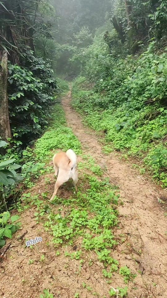 Post 9 by Elíseo Rodríguez🐎 on TikTok (video)