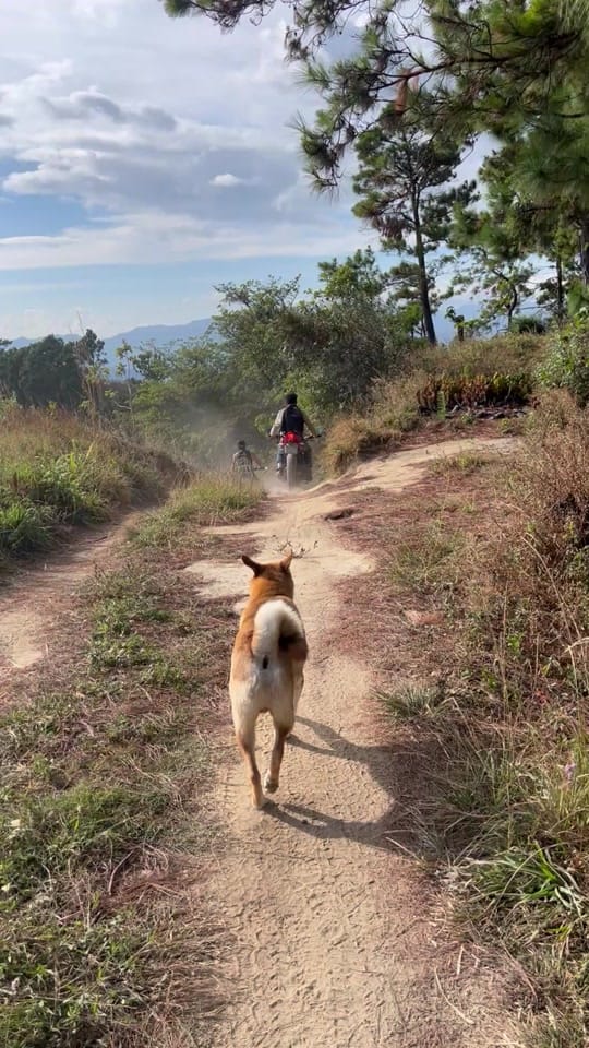Post 4 by Elíseo Rodríguez🐎 on TikTok (video)