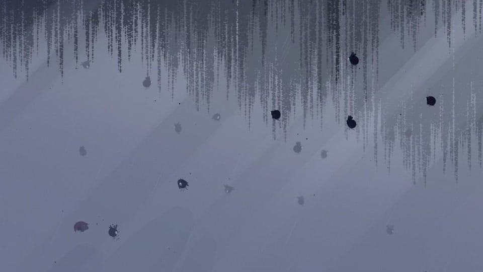 Post 1 by Nomada Studio on TikTok (video)