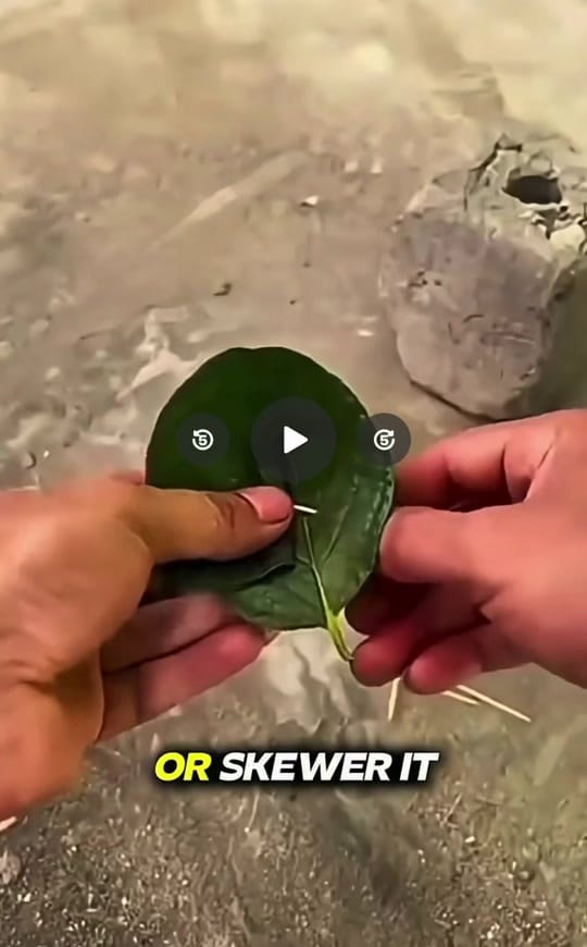 Post 3 by Race_City_Usa on TikTok (video)