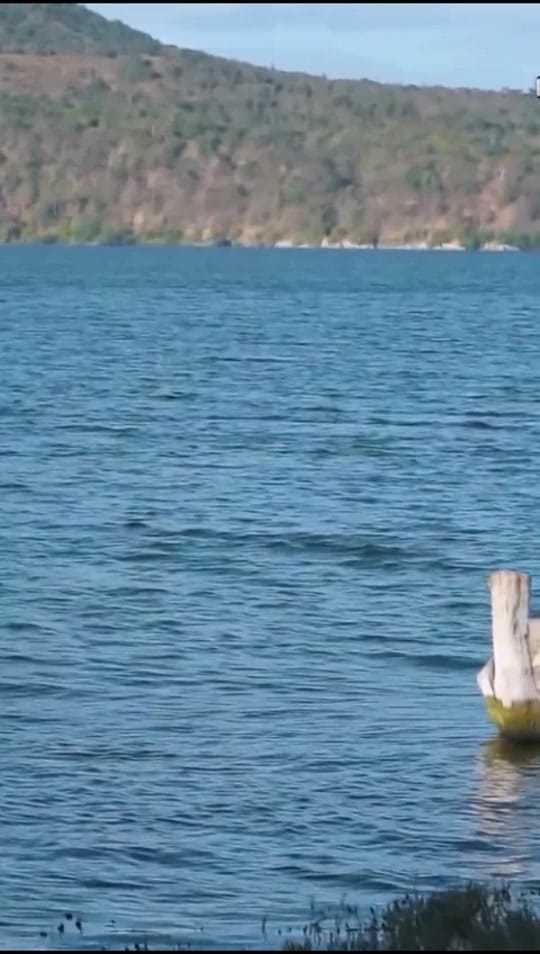 Post 5 by Alex el pintor on TikTok (video)