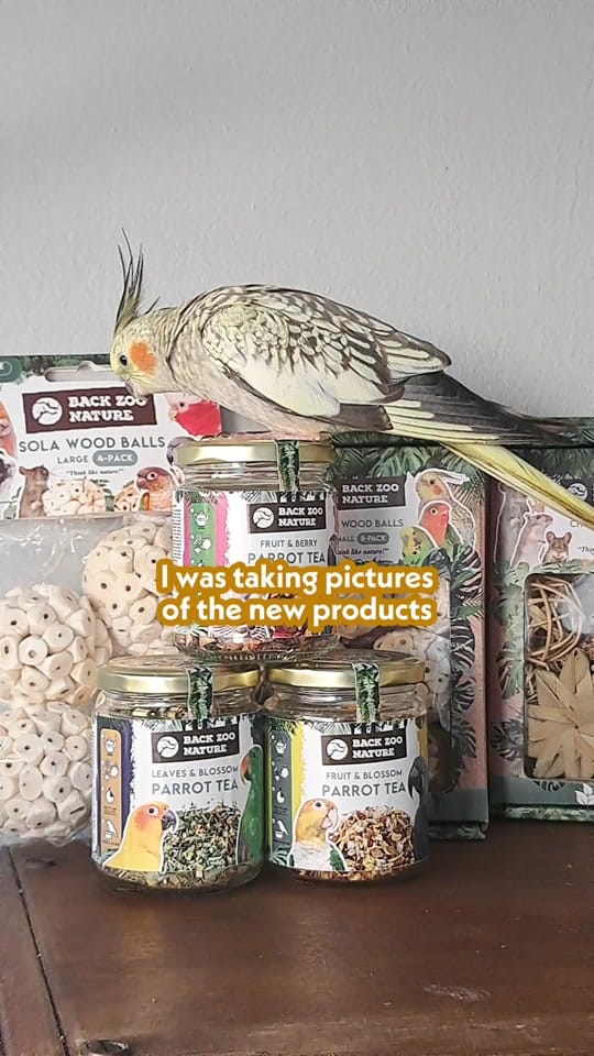 Post 7 by The Bird Band on TikTok (video)