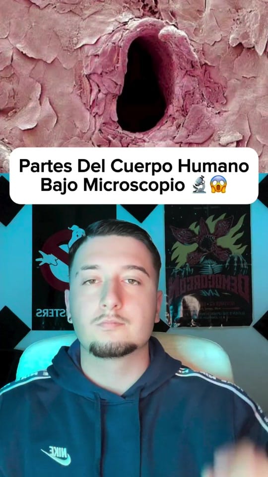 Post 6 by Fernando Salguero 🌍💫 on TikTok (video)